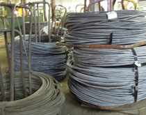Coil stock raw material